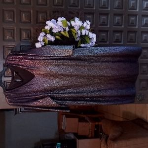 Plus size shiny purple speckled 22/24 dress